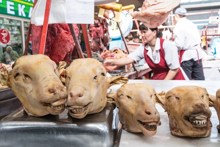 Warum Sich Reisende In Kasachstan Wie Kosmonauten Fuhlen Reisen Nach Zentralasien Derstandard At Lifestyle