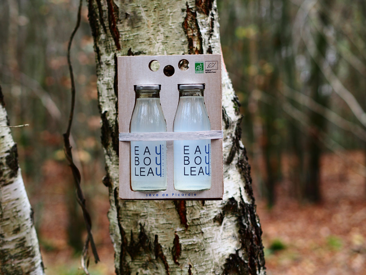 birkensaft aus nordfrankreich hippes