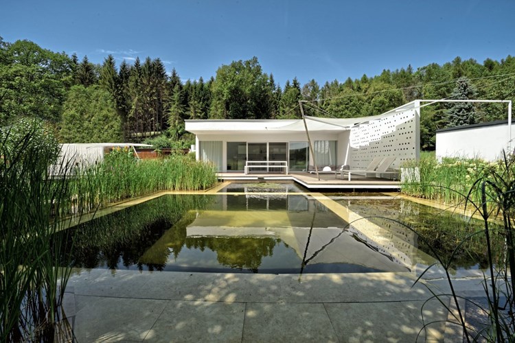 Schwimmteich Im Garten Zuruck Zur Natur Bauen Wohnen