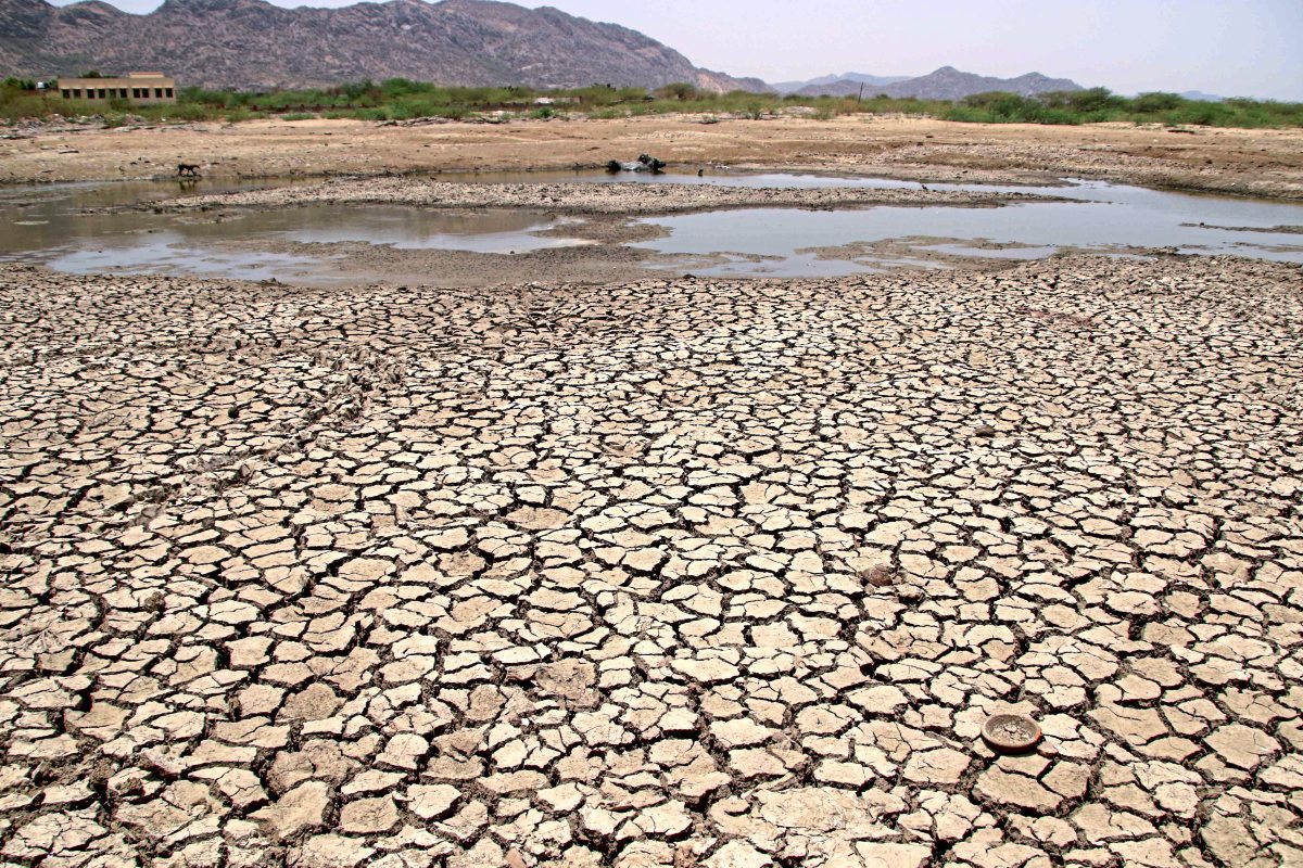 Bereits mehr als 1.000 Tote durch Hitzewelle in Indien und Pakistan ...