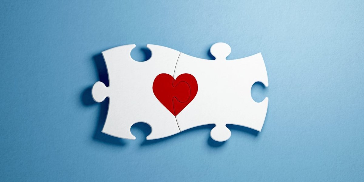 Herzverfettung Nicht Fett Sondern Fettabbau Schadigt Das Herz Herz Kreislauf Derstandard De Wissen Und Gesellschaft