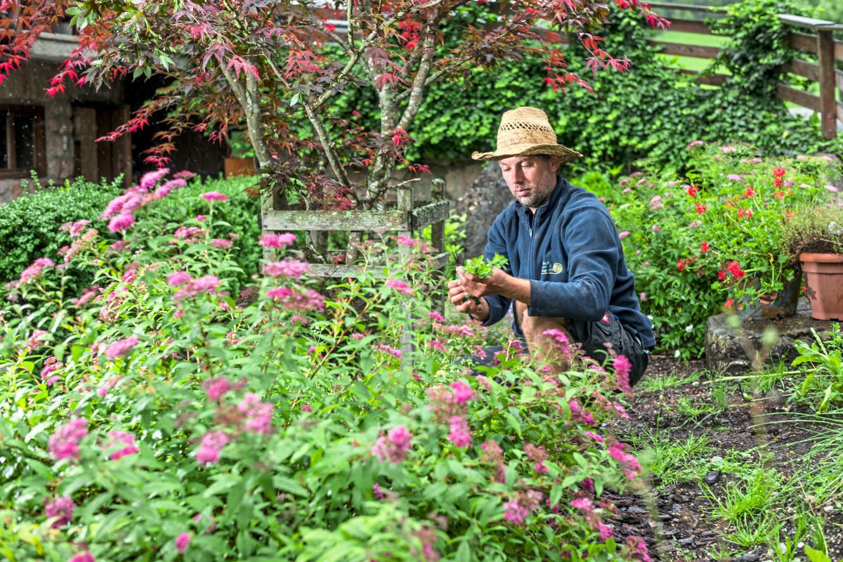 Wie man um Kufstein zum Kräuterkundler wird - Tirol Urlaub