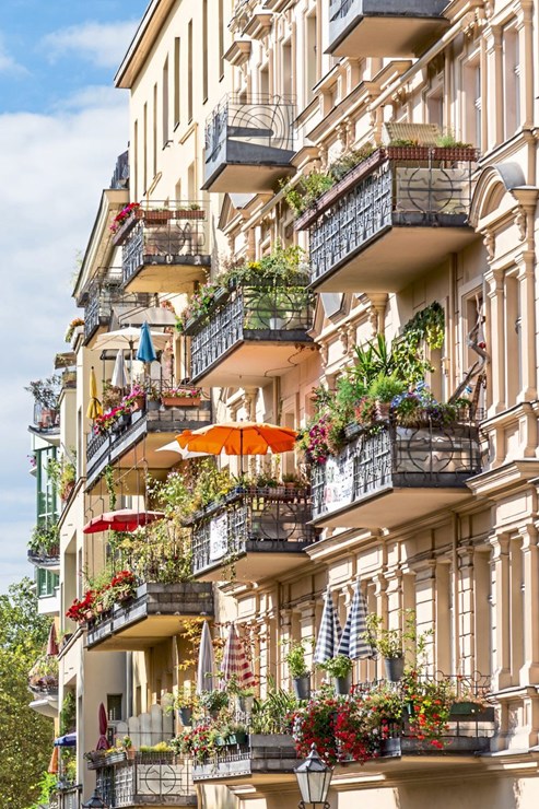 Lauter Sex Grillen Auf Dem Balkon Was Stort Sie An Ihren Nachbarn Immo Mitreden Derstandard De Wirtschaft