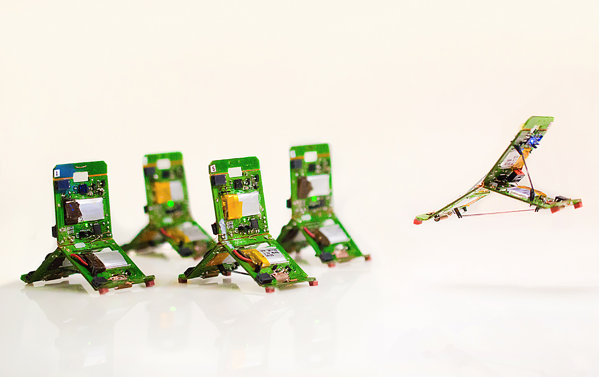 Neue Roboter Organisieren Sich Wie Ein Ameisenschwarm Technik Derstandard De Wissen Und Gesellschaft