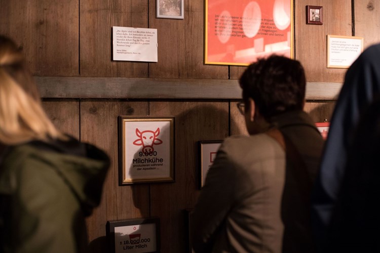 Wo Der Bergkase Herkommt Eine Ausstellung Uber Arbeit Auf Der Alm Osterreich Derstandard At Panorama