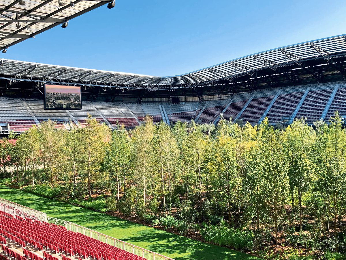Im Wuchtelwald 299 Baume Bei For Forest Im Worthersee Stadion Bildende Kunst Derstandard De Kultur