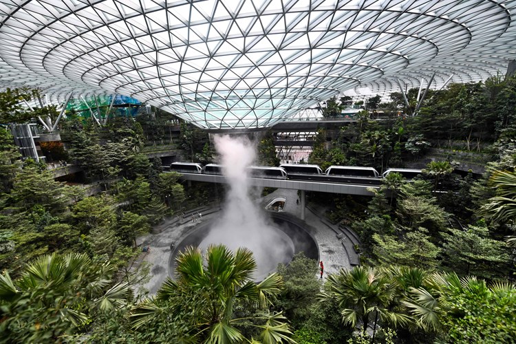 Wasserfall Und Dschungel Am Flughafen Wie Singapur Die Zukunft