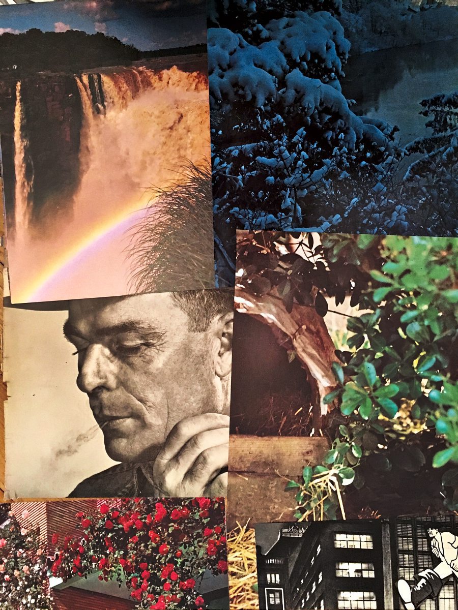 Download Es angebote sind nicht unsere faehigkeiten sterben zeigen wer wir sind sondern unsere entscheidungen For Android Es Angebote Sind Nicht Unsere Faehigkeiten Sterben Zeigen Wer Wir Sind Sondern Unsere Entscheidungen