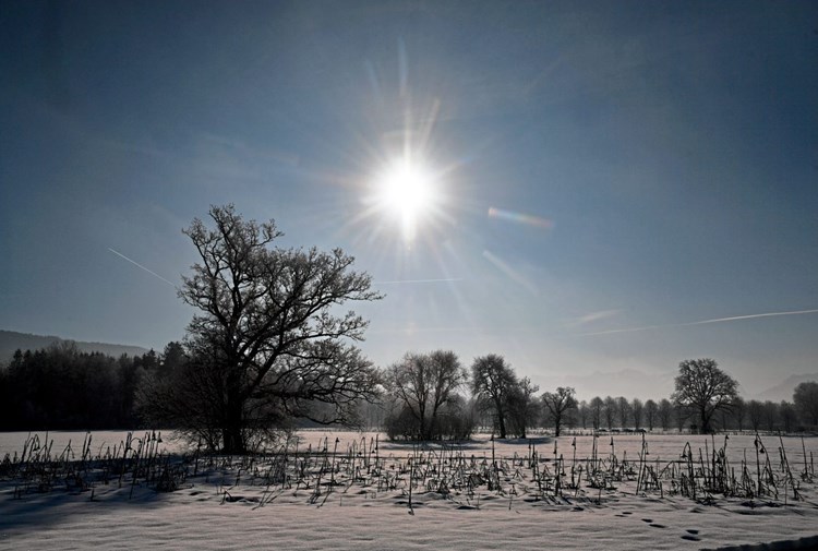 Der Mythos Vom Vitamin D Mangel Prävention Derstandard