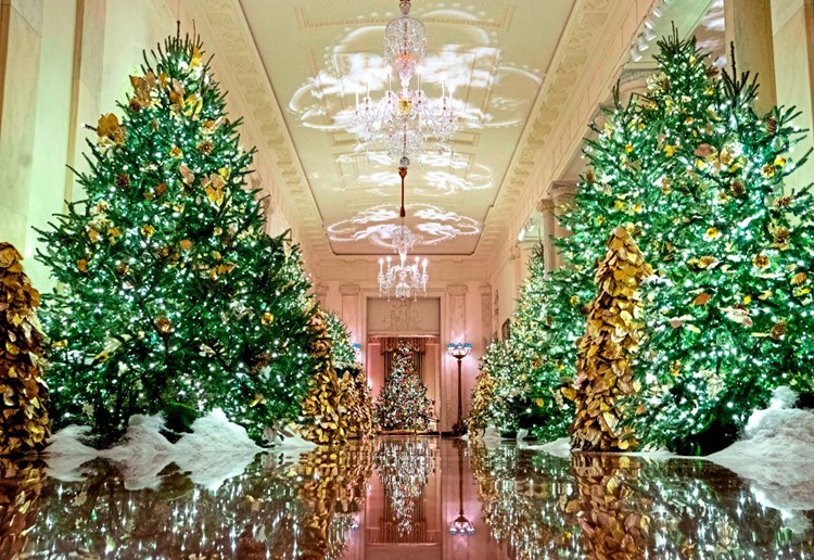 Das Weiße Haus Erstrahlt Im Weihnachtsglanz Usa