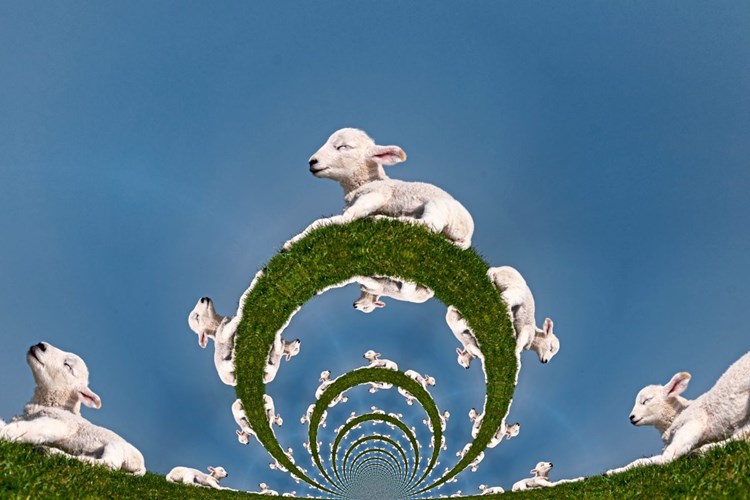 Warum Biodrogen En Vogue Sind Sucht Derstandard At Gesundheit