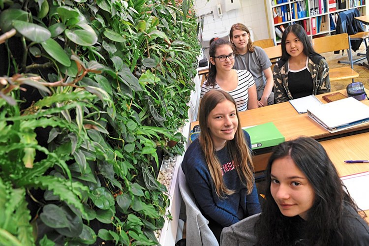 Das Klimabewusste Klassenzimmer Schule Derstandard At Inland