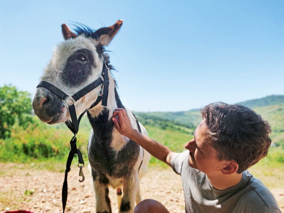 Nur Geduld Wie Es Ist Mit Einem Esel Zu Verreisen Urlaub In Italien Derstandard At Lifestyle