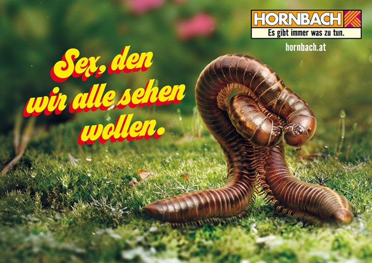 Hornbach Hat Endlich Wieder Sex Im Garten Werbung Derstandard De Kultur