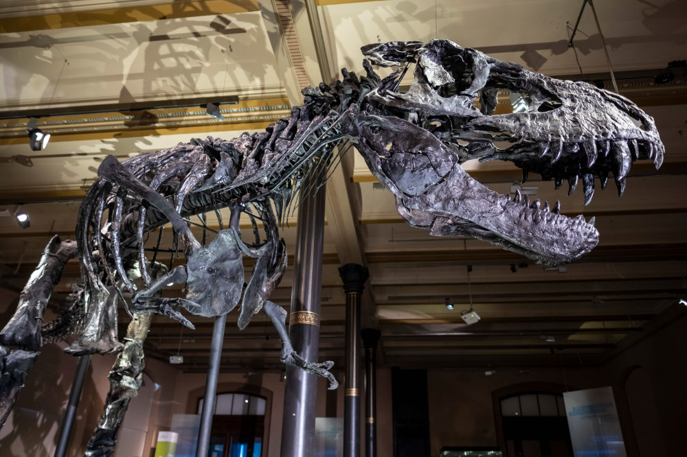 Ins Museum Gehen Ohne Die Couch Zu Verlassen Editionzukunft Derstandard At Editionzukunft