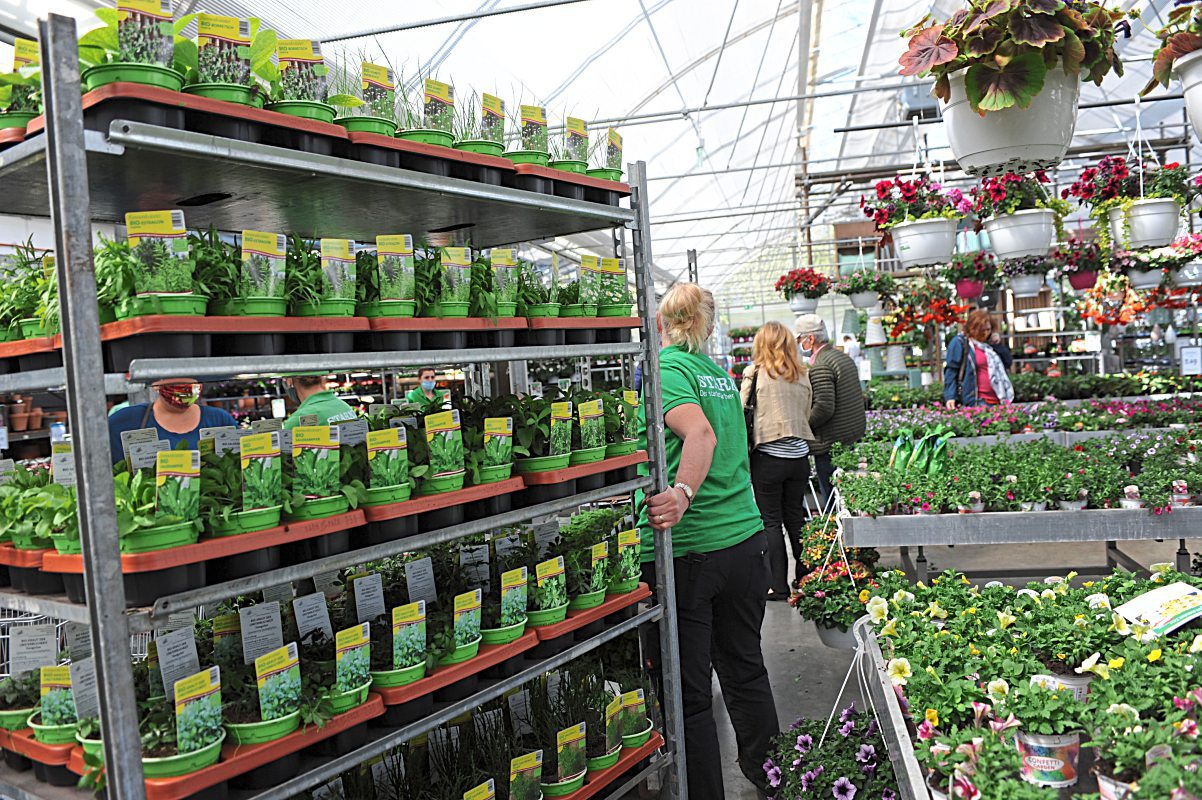 Gärtner Ludwig Starkl: \