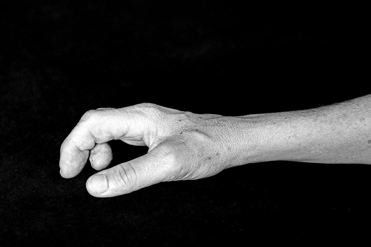 Meine Rechte Hand Sie Ist Die Gute Literatur Derstandard De Kultur