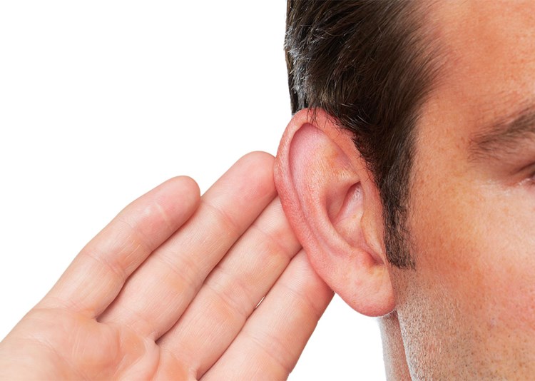 Auch Menschen Konnen Ihre Ohren An Gerauschquellen Ausrichten Mensch Derstandard De Wissen Und Gesellschaft