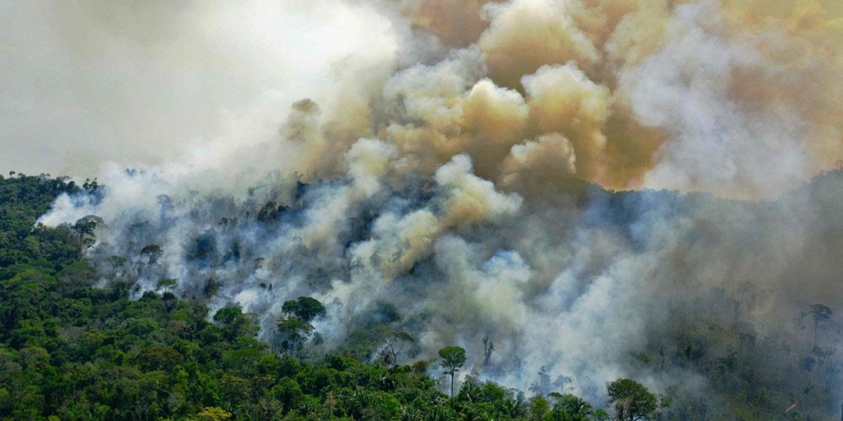 Fast so viele Waldbrände im Amazonas-Gebiet wie 2019 ...