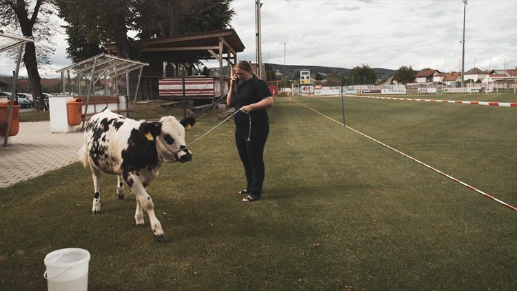 2020 Der Schönste Platz Auf Erden 2020 Der Schönste Platz Auf Erden