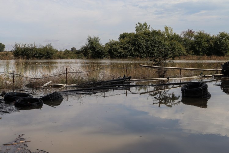 Hurrikan Delta Bedroht Mexiko Und Suden Der Usa Naturkatastrophen Derstandard At Panorama