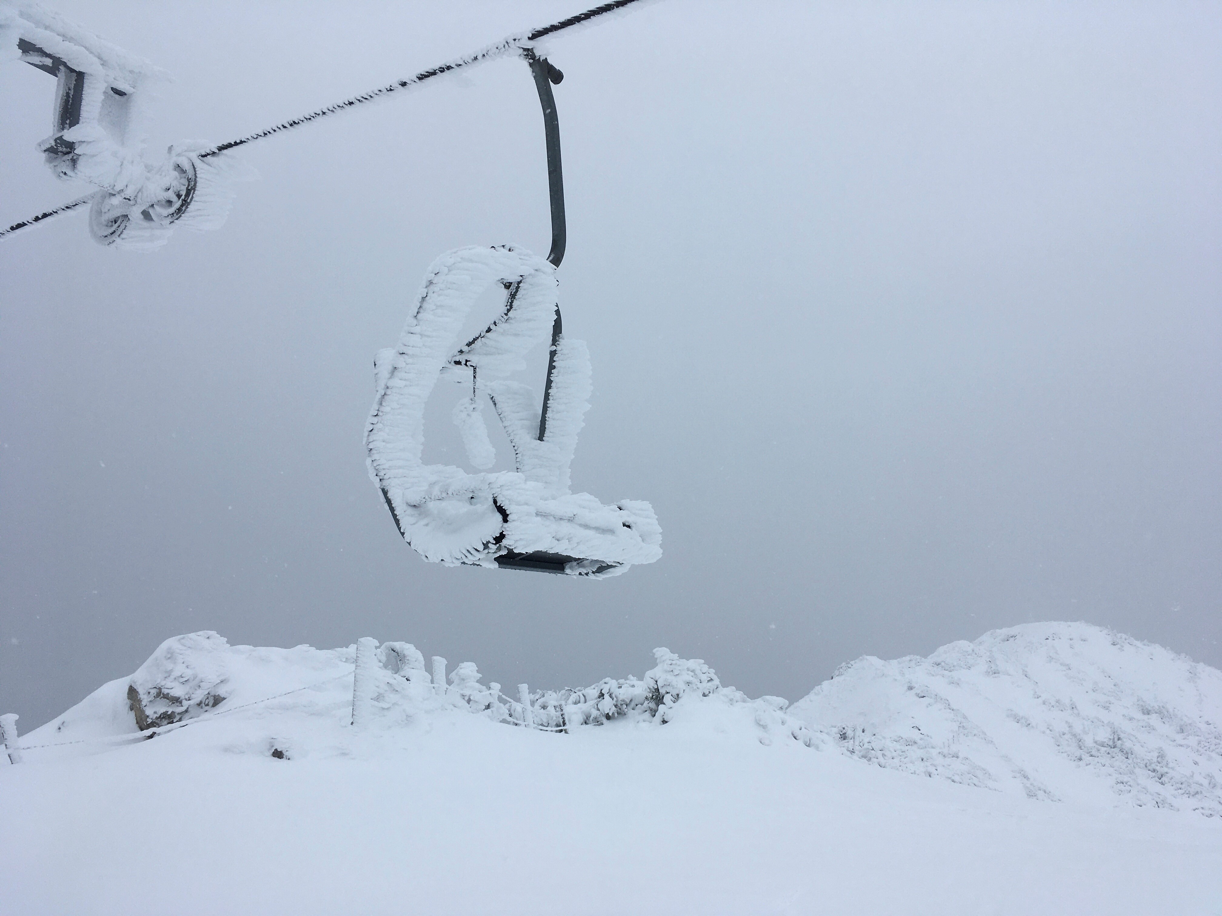 Bildergebnis für blizzard.kosten losen bilder