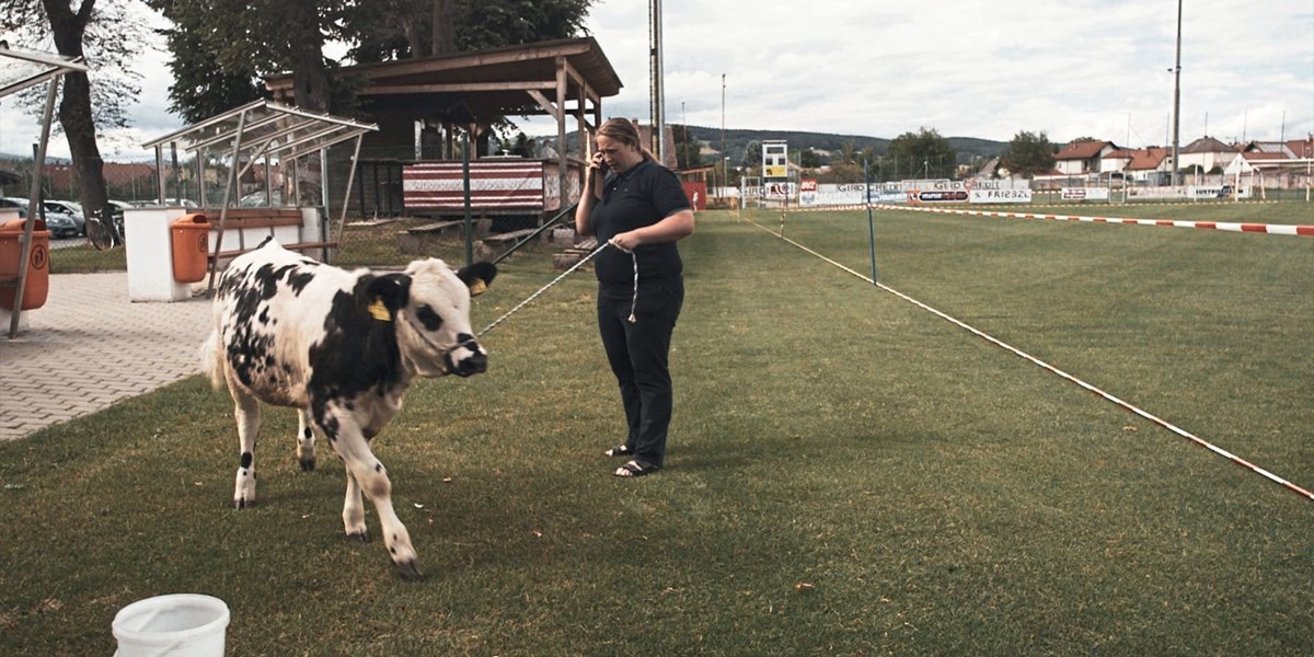 2020 Der Schönste Platz Auf Erden 2020 Der Schönste Platz Auf Erden