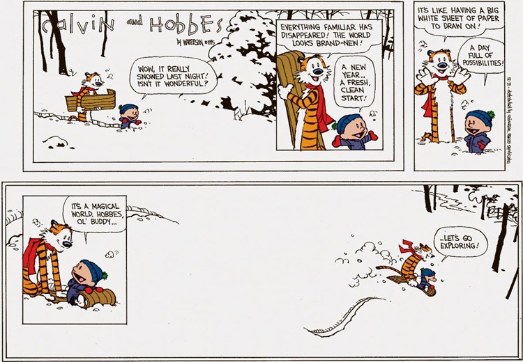 Die Magische Comic Welt Von Calvin Und Hobbes Buchneuerscheinungen Derstandard At Kultur