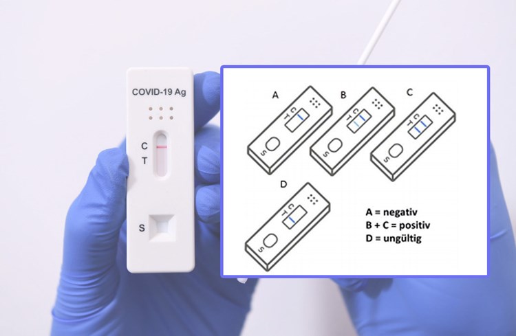 Corona Schnelltest Was C Und T Bedeuten International Derstandard De International