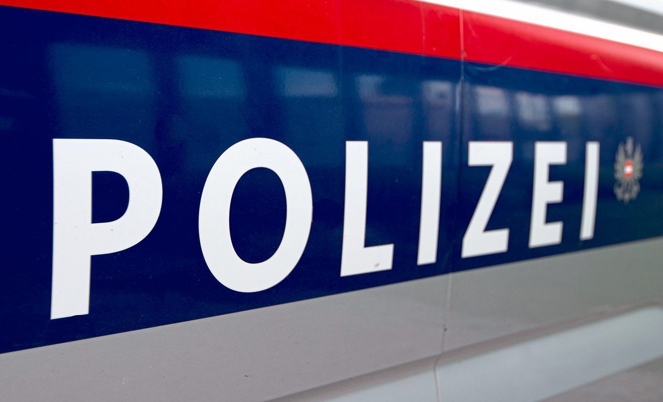 Vater schüttelte zehn Wochen altes Baby in Wien: Kind gestorben - Vimarsana News