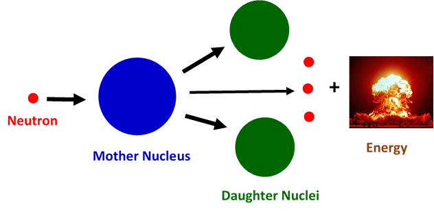 Lise Meitner Pioneer of nuclear fission Blog Die Physiker