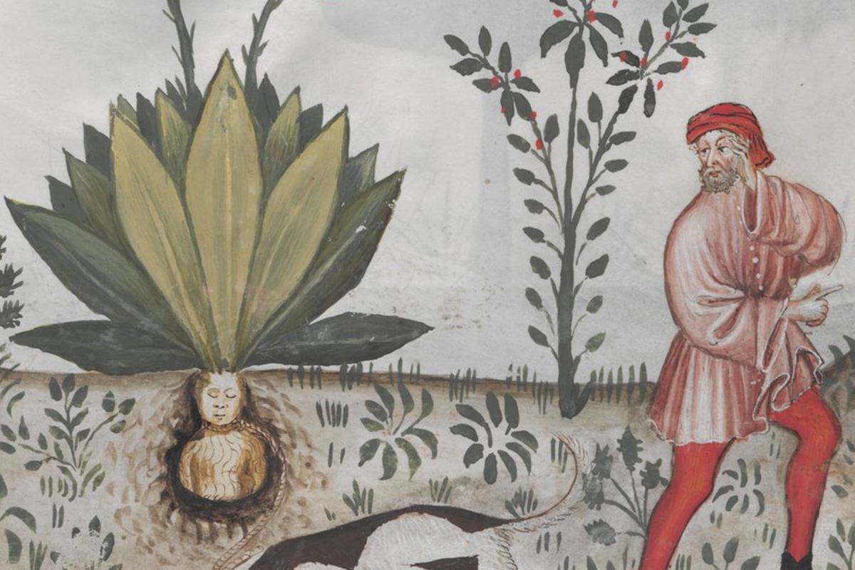 foto: österreichische nationalbibliothek