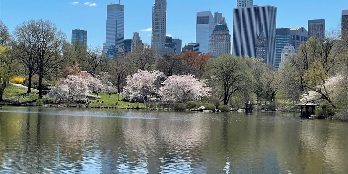 Spring Awakening in New York City: A City Returns – New York Stories