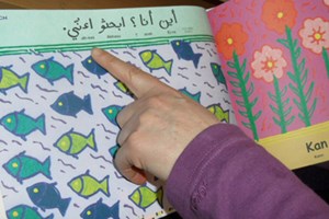18 Wiener Zweigstellen verfügen derzeit über einen Medienbestand in Türkisch und Bosnisch/Kroatisch/Serbisch, sowie in weiteren Fremdsprachen wie Englisch, Französisch, Spanisch, Italienisch, Russisch.