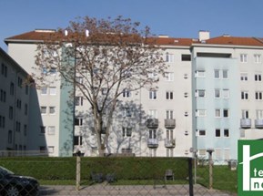 Bastlerhit - Genossenschaftswohnung - 3 Zimmer - Top Lage in Graz - Nur für kurze Zeit, jetzt einziehen und 3 Monate mietfrei wohnen - JETZT ANFRAGEN - JETZT ANFRAGEN