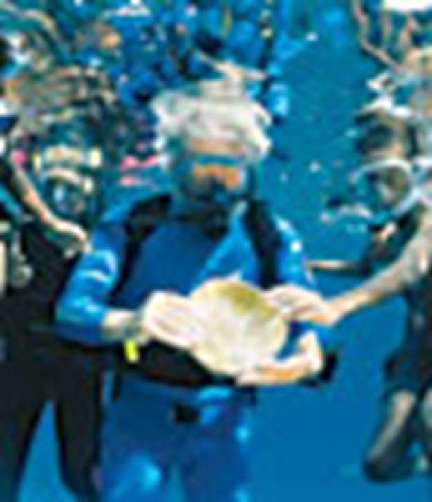 https://images.derstandard.at/t/M625/Movies/2003/6146/151103132313140_482_5.jpg https://images.derstandard.at/t/M625/Movies/2003/6146/151103132313140_482_5.jpg