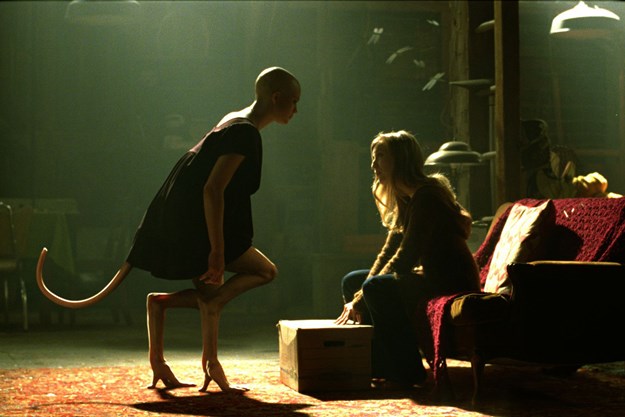 https://images.derstandard.at/t/M625/Movies/2009/13890/151103124625238_50_aufm02.jpg https://images.derstandard.at/t/M625/Movies/2009/13890/151103124625238_50_aufm02.jpg