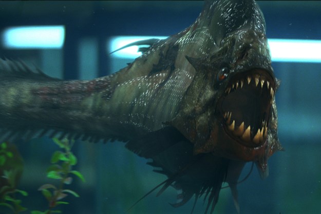 https://images.derstandard.at/t/M625/Movies/2010/14092/151103124459759_50_aufm06.jpg https://images.derstandard.at/t/M625/Movies/2010/14092/151103124459759_50_aufm06.jpg