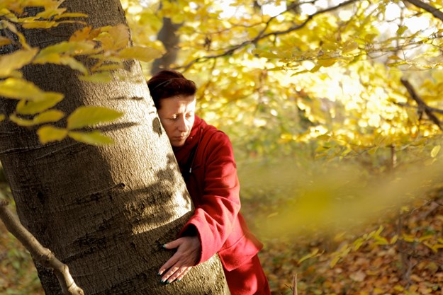 https://images.derstandard.at/t/M625/Movies/2012/15987/151109223133021_10_aufm.jpg https://images.derstandard.at/t/M625/Movies/2012/15987/151109223133021_10_aufm.jpg