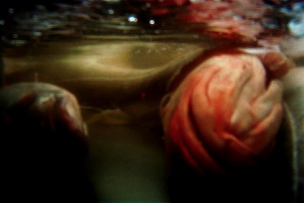 https://images.derstandard.at/t/M625/Movies/2012/16920/151103124057316_44_aufm06.jpg https://images.derstandard.at/t/M625/Movies/2012/16920/151103124057316_44_aufm06.jpg