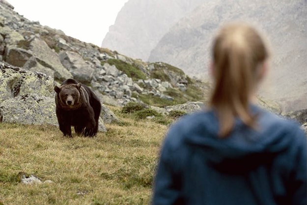 https://images.derstandard.at/t/M625/Movies/2012/17691/151103131301190_5_aufm5.jpg https://images.derstandard.at/t/M625/Movies/2012/17691/151103131301190_5_aufm5.jpg