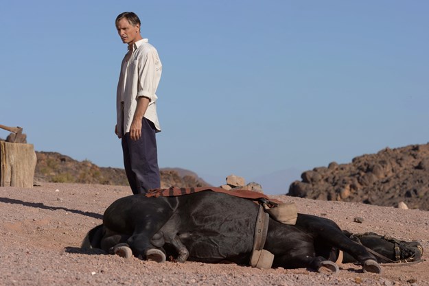 https://images.derstandard.at/t/M625/Movies/2014/20291/151103122828255_39_aufm03.jpg https://images.derstandard.at/t/M625/Movies/2014/20291/151103122828255_39_aufm03.jpg