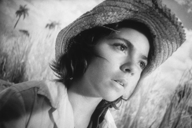 https://images.derstandard.at/t/M625/movies/1964/3139/170321193058984_8_soy-cuba-ich-bin-kuba_aufm02.jpg https://images.derstandard.at/t/M625/movies/1964/3139/170321193058984_8_soy-cuba-ich-bin-kuba_aufm02.jpg