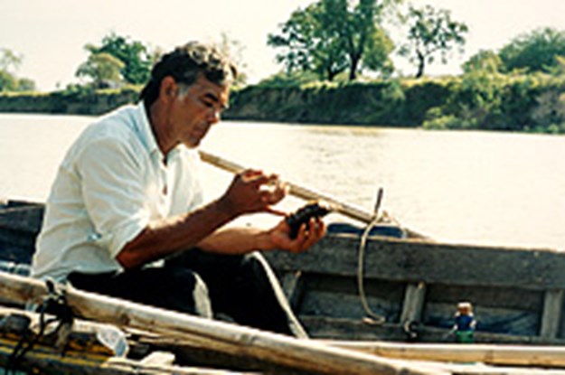 https://images.derstandard.at/t/M625/movies/2004/6957/170821170123847_15_los-muertos_5.jpg https://images.derstandard.at/t/M625/movies/2004/6957/170821170123847_15_los-muertos_5.jpg