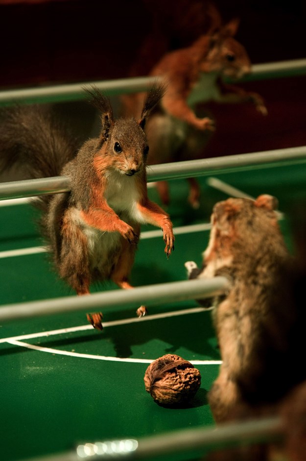 https://images.derstandard.at/t/M625/movies/2006/9184/160229170030723_16_taxidermia-der-ausstopfer_2.jpg https://images.derstandard.at/t/M625/movies/2006/9184/160229170030723_16_taxidermia-der-ausstopfer_2.jpg