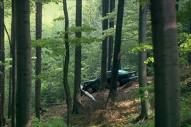 https://images.derstandard.at/t/M625/movies/2007/9338/160910150034883_13_immer-nie-am-meer_aufm02.jpg https://images.derstandard.at/t/M625/movies/2007/9338/160910150034883_13_immer-nie-am-meer_aufm02.jpg