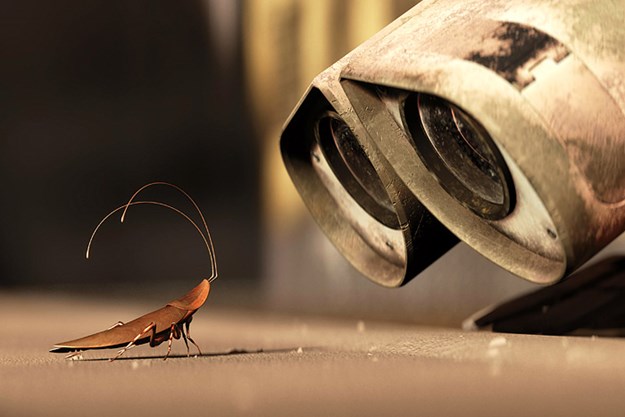 https://images.derstandard.at/t/M625/movies/2008/10053/170726183032733_15_wall-e_aufm03.jpg https://images.derstandard.at/t/M625/movies/2008/10053/170726183032733_15_wall-e_aufm03.jpg