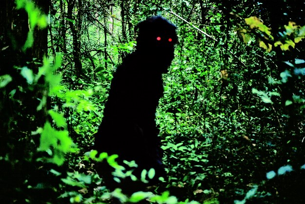 https://images.derstandard.at/t/M625/movies/2010/14013/160618223045392_10_uncle-boonmee-who-can-recall-his-past-lives_aufm05.jpg https://images.derstandard.at/t/M625/movies/2010/14013/160618223045392_10_uncle-boonmee-who-can-recall-his-past-lives_aufm05.jpg