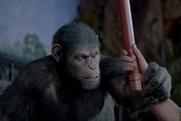 https://images.derstandard.at/t/M625/movies/2011/2971/170724140022371_9_planet-der-affen-prevolution_aufm3.jpg https://images.derstandard.at/t/M625/movies/2011/2971/170724140022371_9_planet-der-affen-prevolution_aufm3.jpg