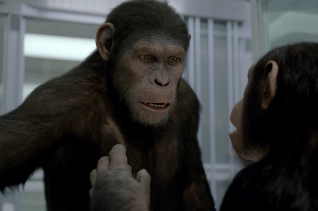 https://images.derstandard.at/t/M625/movies/2011/2971/170724140022497_10_planet-der-affen-prevolution_5.jpg https://images.derstandard.at/t/M625/movies/2011/2971/170724140022497_10_planet-der-affen-prevolution_5.jpg